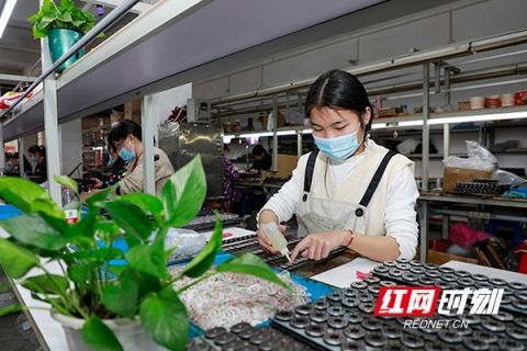 湖南新田 社區(qū) 微工廠 靈活促就業(yè) 組圖